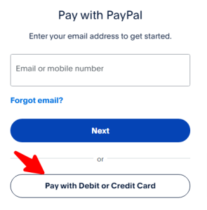PayPal Credit Card Payment Example